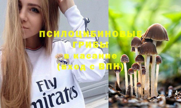 мяу мяу кристалл Переславль-Залесский