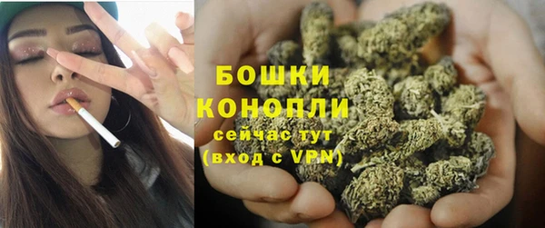 мяу мяу кристалл Переславль-Залесский