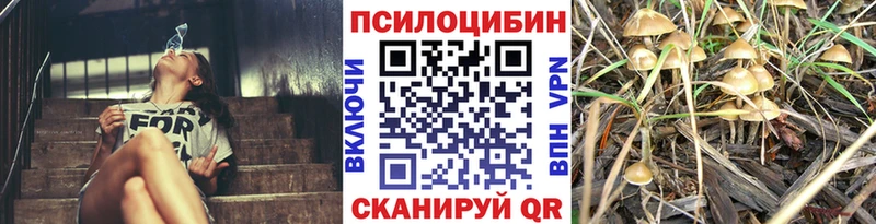 Купить  Саратов  Псилоцибиновые грибы GOLDEN TEACHER 